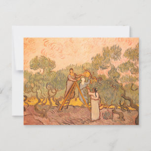 Cartão Postal Women Picting Olives por van Gogh: