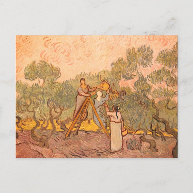 Cartão Postal Women Picting Olives por van Gogh: (Frente)