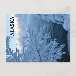 Cartão Postal Wonderland