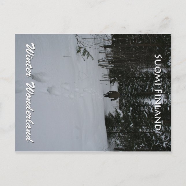 Cartão Postal Wonderland (Frente)