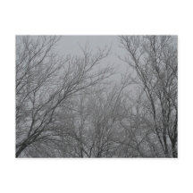 Cartão postal Wonderland de inverno