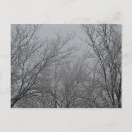 Cartão postal Wonderland de inverno