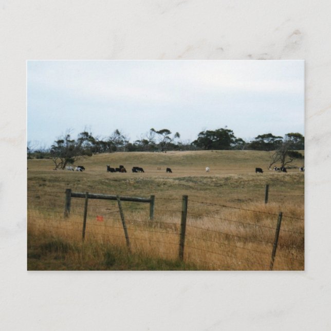 Cartão Postal Wonthaggi (Frente)