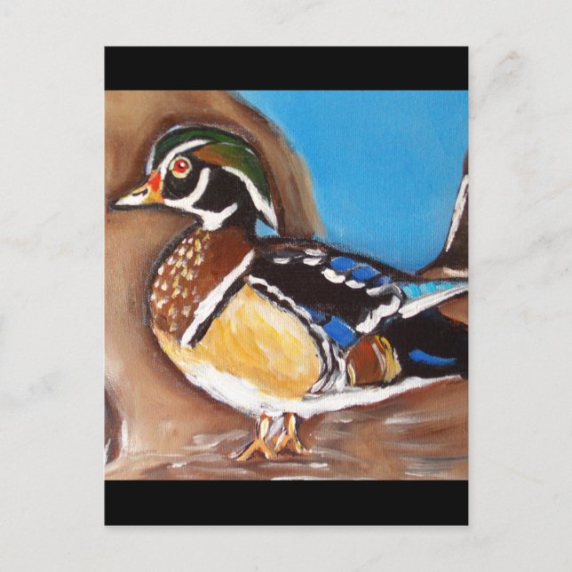 CARTÃO POSTAL WOOD DUCK (Frente)