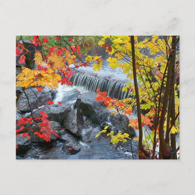 Cartão Postal Woodford State Park (Frente)