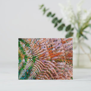 Cartão Postal Woodland Ferns