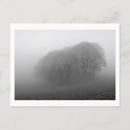 Cartão Postal Woodland in the Mist: Cheshire, Inglaterra
