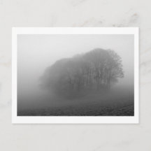 Woodland in the Mist: Cheshire, Inglaterra