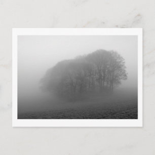 Cartão Postal Woodland in the Mist: Cheshire, Inglaterra