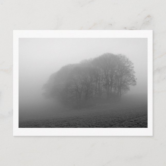 Cartão Postal Woodland in the Mist: Cheshire, Inglaterra (Frente)