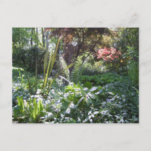 Cartão Postal Woodland Walk