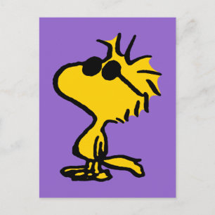 Cartão Postal Woodstock De Óculos De Sol