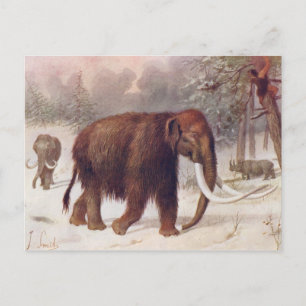 Cartão Postal Wooly Mammoth Pré-Histórica Animal Antiquado Imp