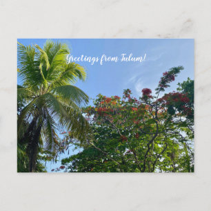 Cartão Postal World2Celebrate: Saudações de Tulum!