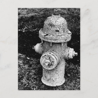 Cartão Postal Worn Chipped Rusty Old Fire Hydrant Photo