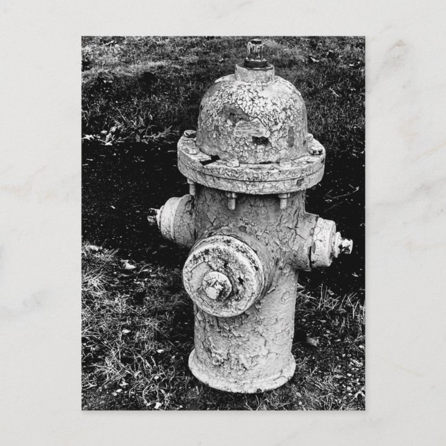 Cartão Postal Worn Chipped Rusty Old Fire Hydrant Photo (Frente)