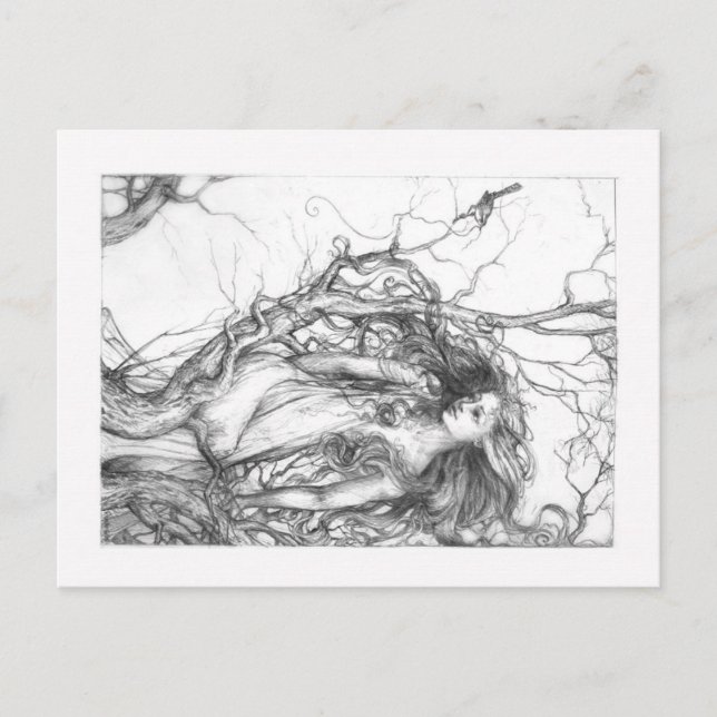 Cartão Postal Wren (Frente)