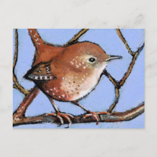 Cartão Postal WREN, BIRD, em Pastel de Óleo