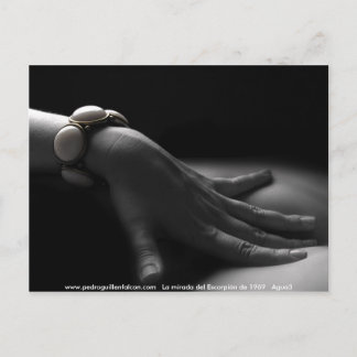 Cartão Postal www.pedroguillenfalcon.com
