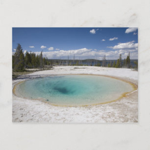 Cartão Postal WY, Parque Nacional de Yellowstone, West Thumb Gey