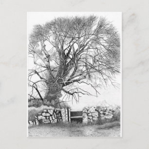 Cartão Postal Wych Elm. Cartão-postal do original