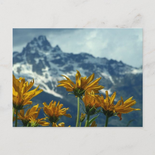 Cartão Postal Wyoming (Frente)