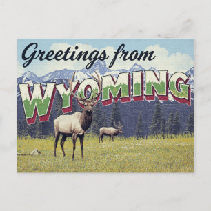 Cartão Postal Wyoming Elk Grand Teton Montanhas