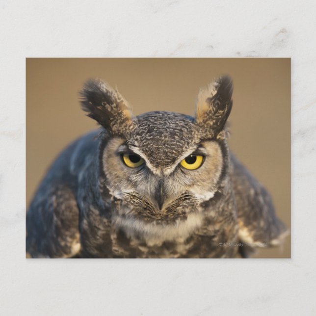 Cartão Postal wyoming, eua (Frente)