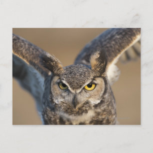 Cartão Postal Wyoming, EUA