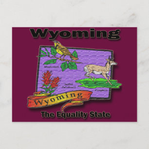 Cartão Postal Wyoming, Pássaro Estatal Da Igualdade, Querido Bus