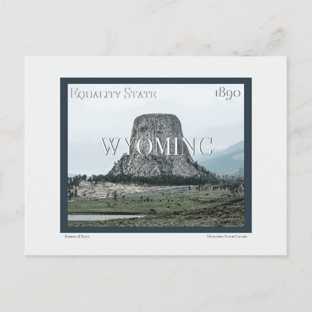 Cartão Postal Wyoming Poster (Frente)