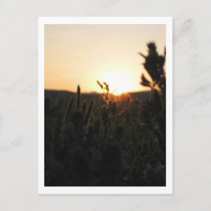 Cartão Postal Wyoming Sunrise