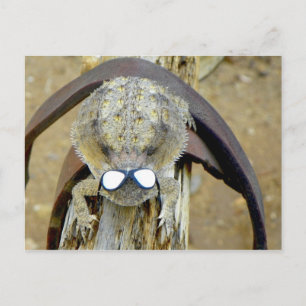 Cartão Postal xoxo, Troy...Oi Cherie... LOL... ou é o O.M.G.