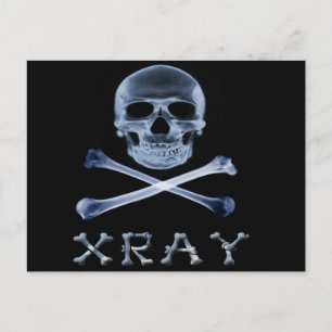 Cartão Postal XRAY PIRATE Flag RADIOLOGIA JOLLY ROGER