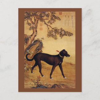 Cartão Postal Xueluzhua ~ 雪 爪 卢 ~Greyhound ~Giuseppe Castiglione