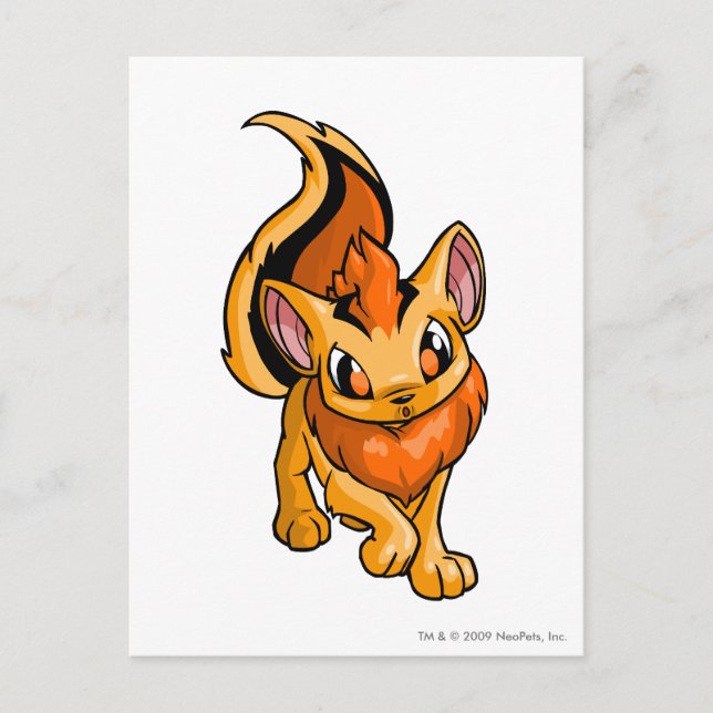 Cartão Postal Xweetok Orange (Frente)