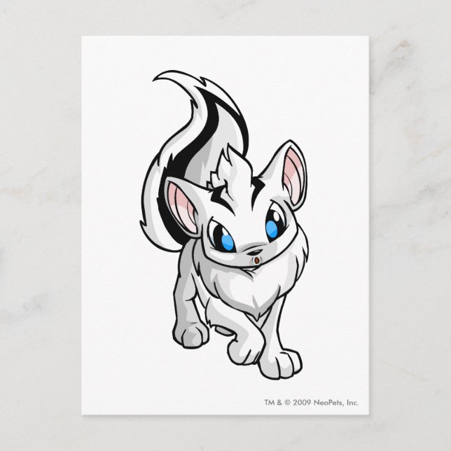 Cartão Postal Xweetok White (Frente)