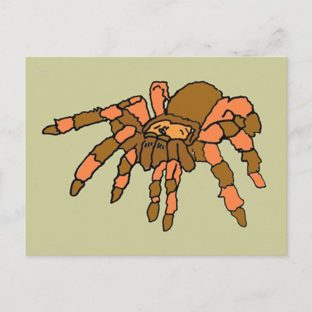 Cartão Postal XX- Aranha Hilariante Tarantula (Frente)
