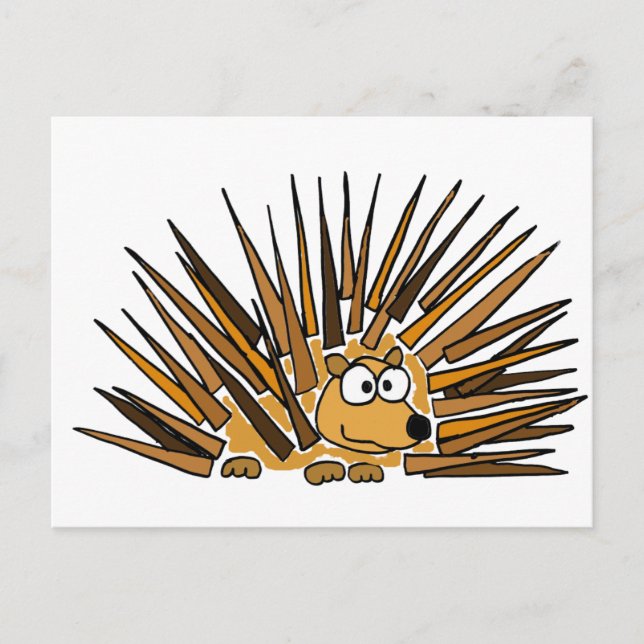 Cartão Postal XX- Cartoon de Arte Porcupine (Frente)