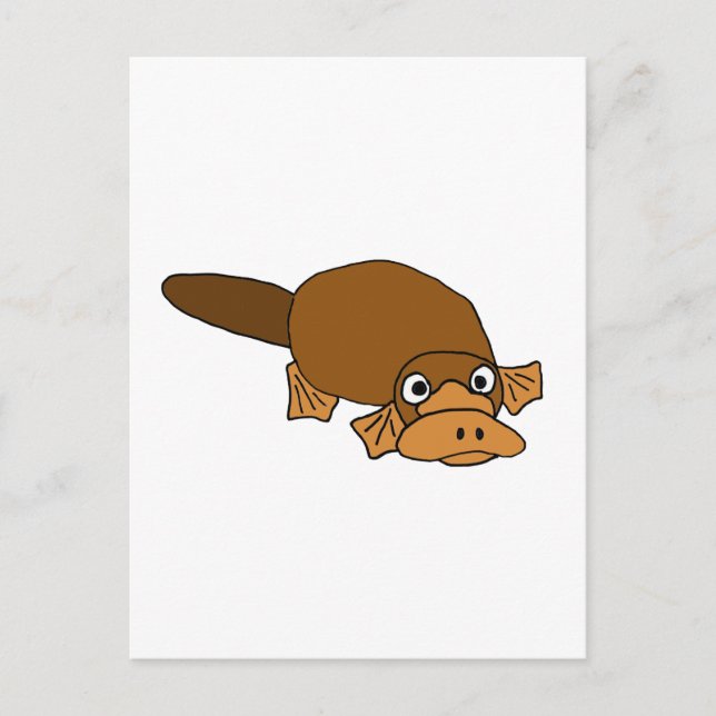 Cartão Postal XX- Cartoon de Platypus Bilhado de Pato (Frente)