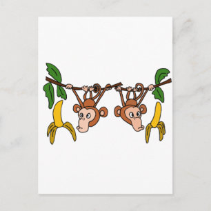 Cartão Postal XX- Macacos Engraçados