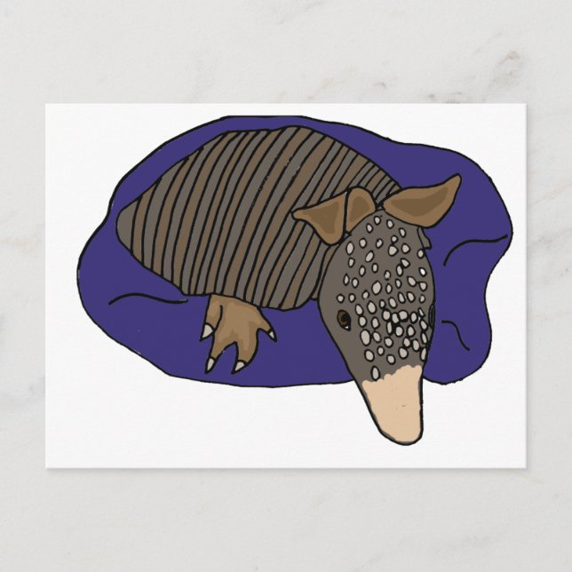 Cartão Postal XY- Baby Armadillo num Design Travesseiro (Frente)