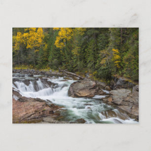 Cartão Postal Yaak Falls In Autumn In The Kootenai National