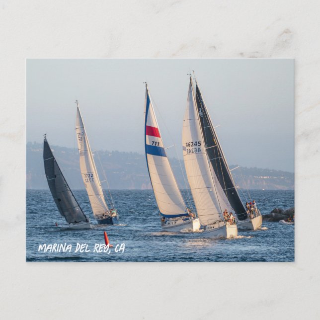 Cartão Postal Yacht Race - Marina Del Rey, CA (Frente)