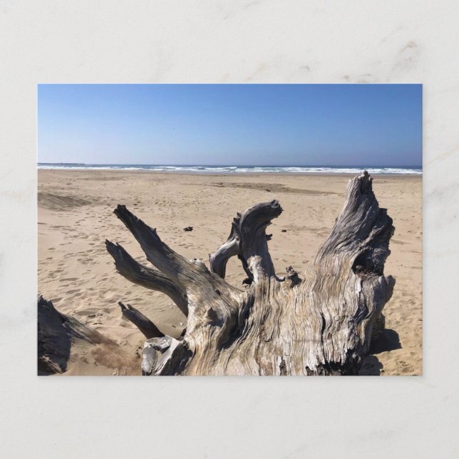 Cartão Postal Yaquina Bay State Recreation Site, Newport, Oregon (Frente)