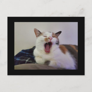 Cartão Postal Yawning Calico Cat