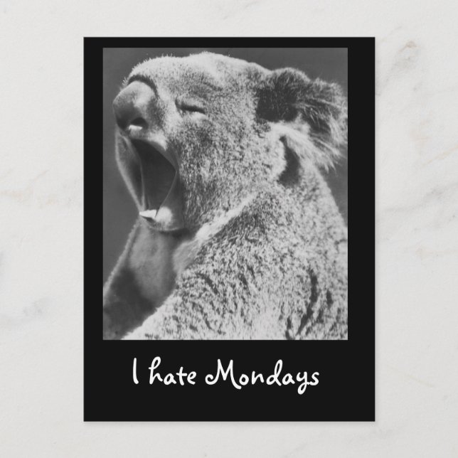 Cartão Postal Yawning Koala (Frente)