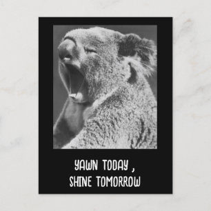 Cartão Postal Yawning Koala — frase engraçada