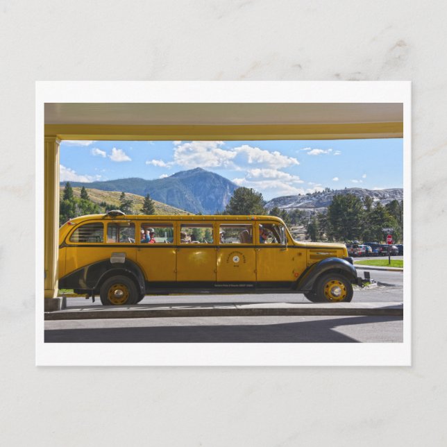 Cartão Postal Yellow Bus, Yellowstone National Park, Wyoming Pos (Frente)