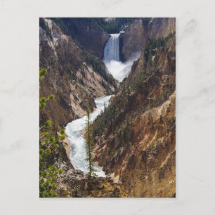 Cartão Postal Yellowstone das Caixas Inferiores